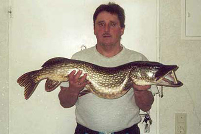 Fisch