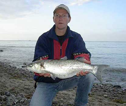 Fisch halten