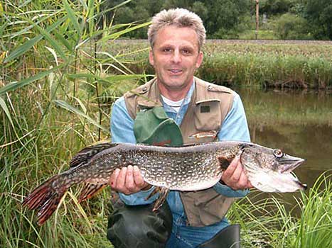 Fisch halten