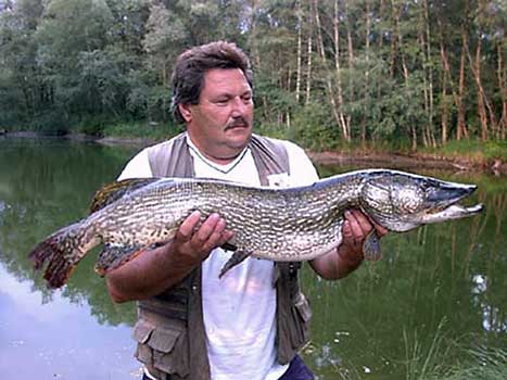 Fisch halten
