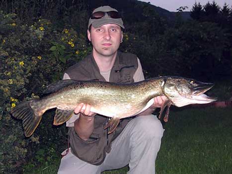 Fisch halten