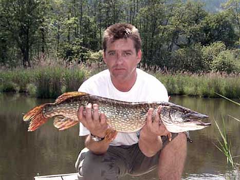 Fisch halten