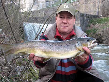 Fisch halten