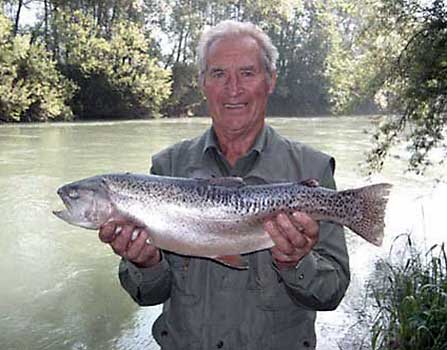 Fisch halten