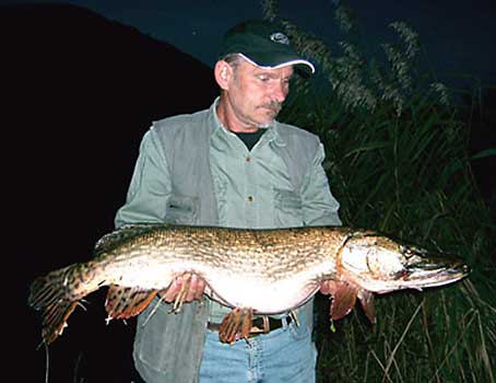 Fisch halten
