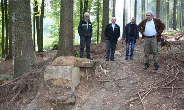 Im Wald