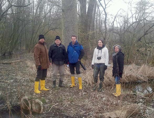 Im Wald